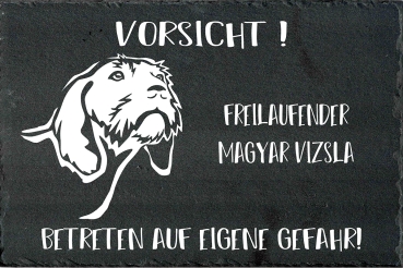 Schieferplatte Magyar Vizsla (Drahthaar)