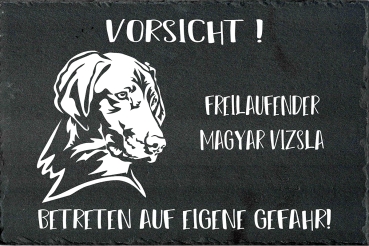 Schieferplatte Magyar Vizsla