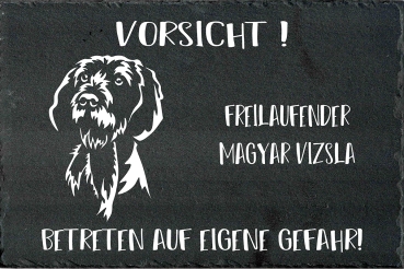 Schieferplatte Magyar Vizsla (Drahthaar)