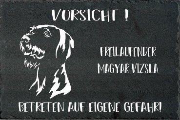 Schieferplatte Magyar Vizsla (Drahthaar)