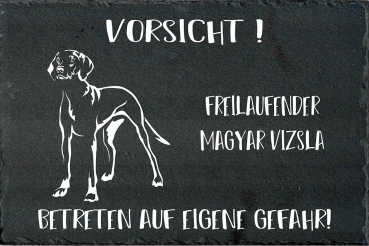 Schieferplatte Magyar Vizsla