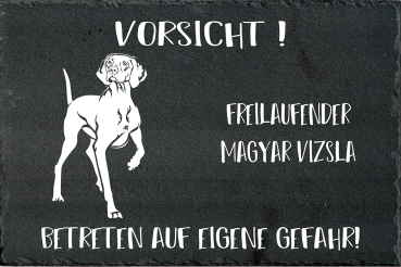 Schieferplatte Magyar Vizsla