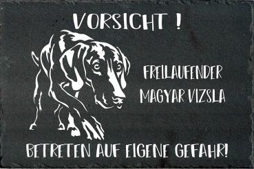 Schieferplatte Magyar Vizsla