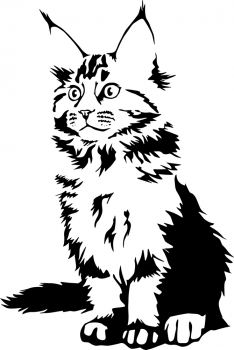 Aufkleber Maine Coon