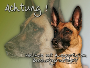 Hundewarnschild Malinois (Belgischer Schäferhund) #6