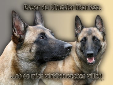 Hundewarnschild Malinois (Belgischer Schäferhund) #7