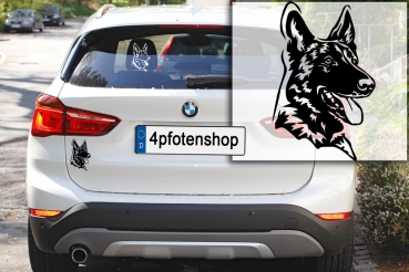 Autoaufkleber "Malinois" Kopf