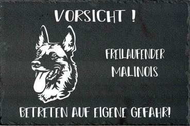 Schieferplatte Malinois