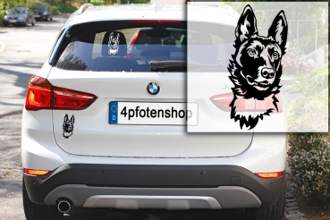 Autoaufkleber "Malinois" Kopf