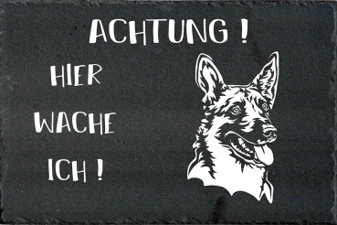 Schieferplatte Malinois