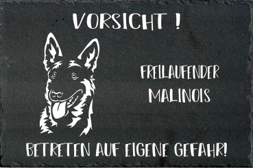 Schieferplatte Malinois