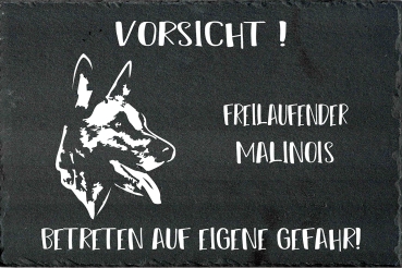 Schieferplatte Malinois