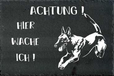 Schieferplatte Malinois