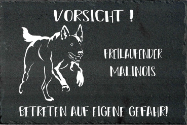 Schieferplatte Malinois