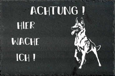 Schieferplatte Malinois