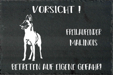 Schieferplatte Malinois