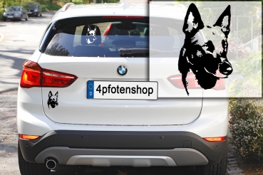 Autoaufkleber "Malinois" Kopf