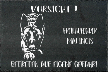 Schieferplatte Malinois