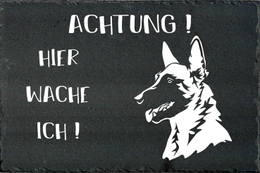 Schieferplatte Malinois