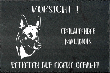 Schieferplatte Malinois