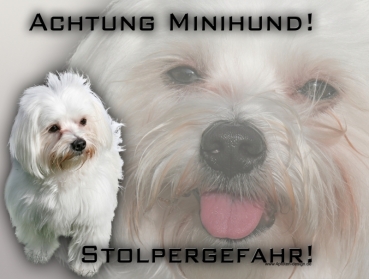 Hundewarnschild Malteser #1