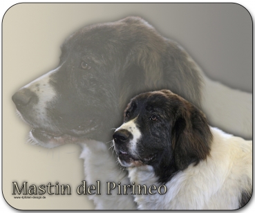 Mousepad Mastin del Pirineo #1