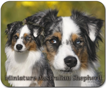 Mousepad Miniature Australian Shepherd