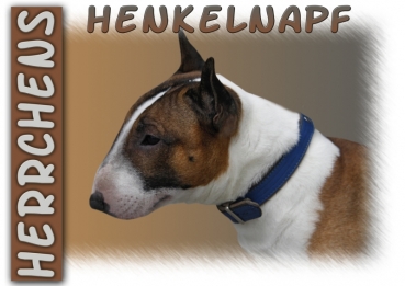 Fototasse Miniature Bullterrier Herrchen/Frauchen