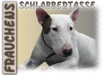 Fototasse Miniature Bullterrier Herrchen/Frauchen