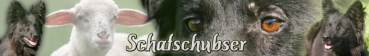 Aufkleber Altdeutscher Hütehund (Schwarzer) #1