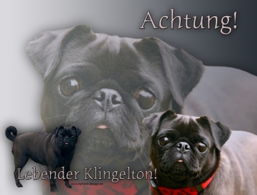 Hundewarnschild Mops #3