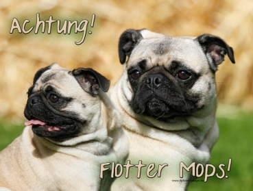 Hundewarnschild Mops #4