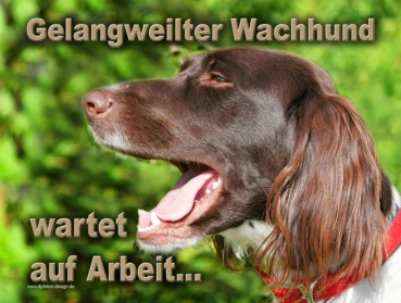 Hundewarnschild Münsterländer #2