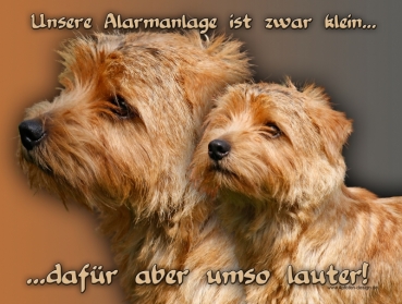 Hundewarnschild Norfolk Terrier #1