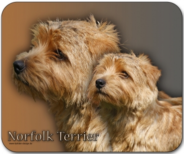 Mousepad Norfolk Terrier #1