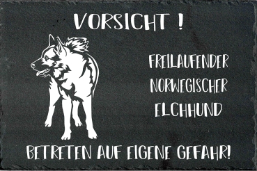 Schieferplatte Norwegischer Elchhund