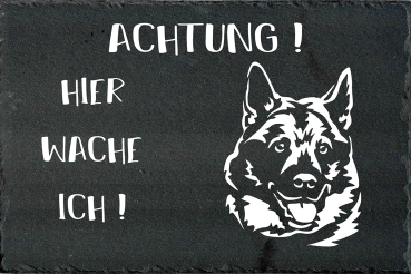 Schieferplatte Norwegischer Elchhund