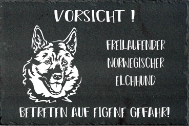 Schieferplatte Norwegischer Elchhund