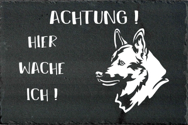 Schieferplatte Norwegischer Elchhund