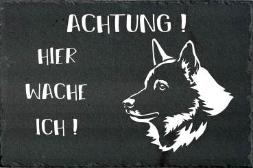 Schieferplatte Norwegischer Elchhund