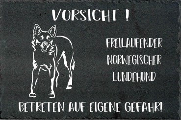 Schieferplatte Norwegischer Lundehund