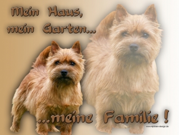 Hundewarnschild Norwich Terrier #1