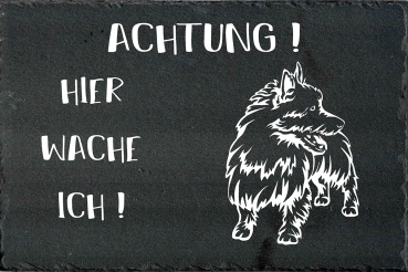 Schieferplatte Norwich Terrier