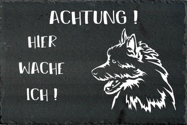 Schieferplatte Norwich Terrier