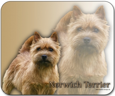 Mousepad Norwich Terrier #1