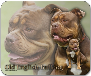 Mousepad Old English Bulldog Bulldog #1