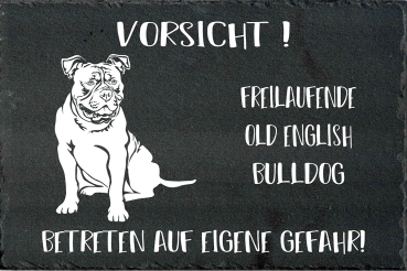 Schieferplatte Old English Bulldog