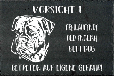 Schieferplatte Old English Bulldog