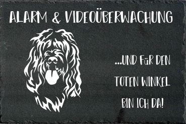 Schieferplatte Otterhound