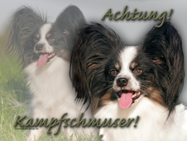 Hundewarnschild Papillon #1